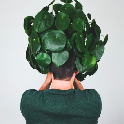 CHI SIAMO Plants Store Gallery Img 3